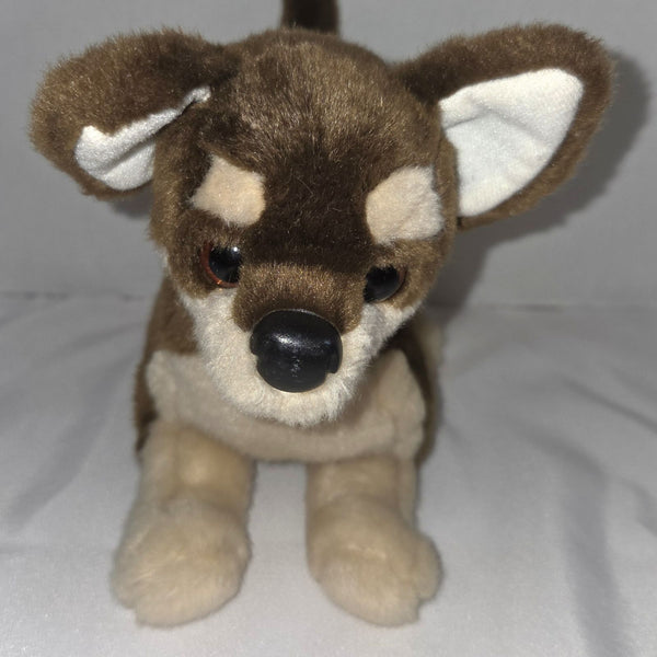 Douglas Cuddle Toy Paco Brown Chihuahua #1957 Rare Damage